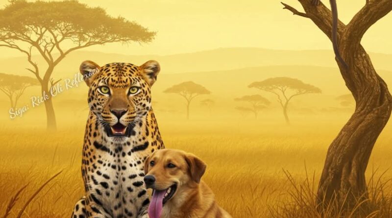 O velho Cão, a Onça e o Macaco
