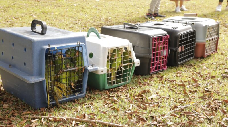 Barueri celebra o Dia Mundial do Meio Ambiente com soltura de aves e programação especial de educação ambiental 