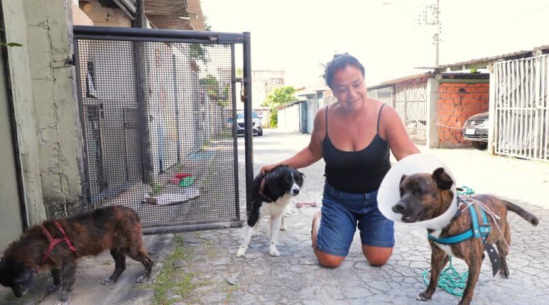 Paixão pelos animais mobiliza moradora do Jardim Paulista
