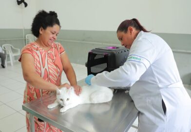 Vacinação contra raiva: confira o funcionamento do posto fixo em março