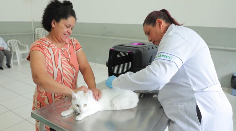 Vacinação contra raiva: confira o funcionamento do posto fixo em março
