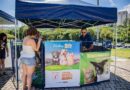 Feiras de adoção de pets de maio começam no feriado do dia 1º de maio