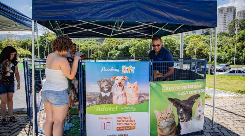Feiras de adoção de pets de maio começam no feriado do dia 1º de maio