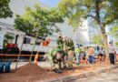 Barueri e Enel iniciam projeto para substituir árvores com risco de queda e reforçar segurança urbana