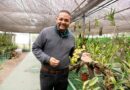 Curso gratuito forma 20 novos apaixonados por orquídeas em Barueri