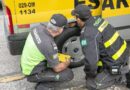 Operação conjunta identifica irregularidades em transporte escolar em Barueri