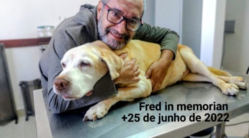O cachorro é o melhor amigo do homem