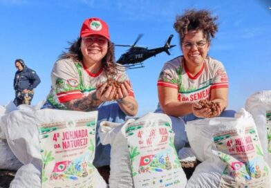 MST realiza o plantio de 5 mil mudas na semana do Meio Ambiente