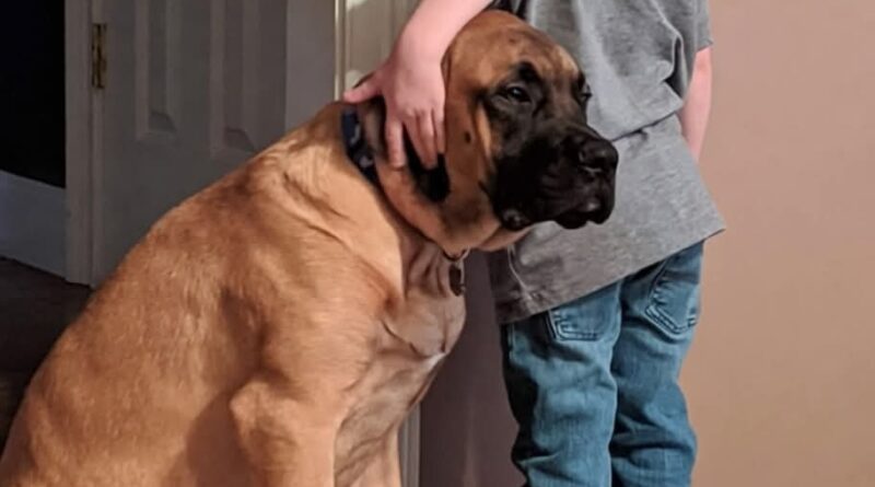 Hoje precisei colocar meu filho de castigo. Hoje precisei colocar meu filho de castigo.
