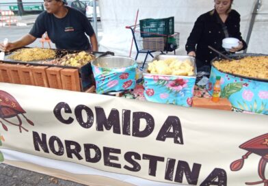 Festa Nordestina no Parque das Hortênsias promete agitar Taboão da Serra com entrada gratuita de 26 a 05/07
