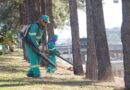 Da coleta seletiva à varrição: a limpeza que cuida de Barueri