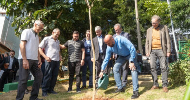 Osasco recebe espécies nativas com ‘PROJETO ÁRVORE MAIS SEGURA’ da ENEL