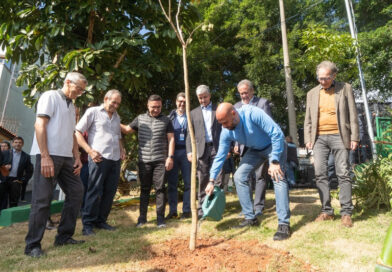 Osasco recebe espécies nativas com ‘PROJETO ÁRVORE MAIS SEGURA’ da ENEL