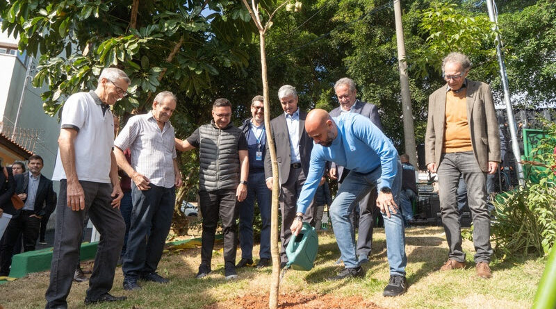 Osasco recebe espécies nativas com ‘PROJETO ÁRVORE MAIS SEGURA’ da ENEL