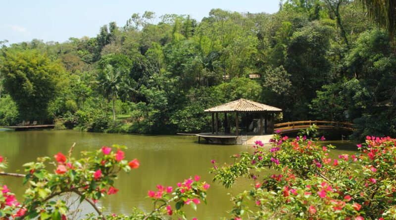 Barueri reforça medidas preventivas após avistamento de onça-parda em Aldeia da Serra