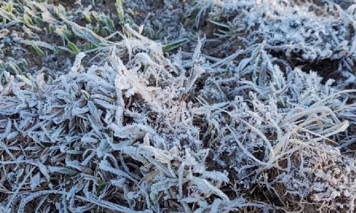 Inmet emite alertas de geada para cidades do Vale do Paraíba e da região de Bragança Paulista