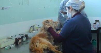 Barueri destaca prevenção e cuidados no Dia Nacional de Combate à Leishmaniose