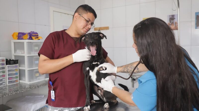 Prefeitura oferece atendimento veterinário gratuito neste sábado (22) para tutores do Jardim Belval Prefeitura oferece atendimento veterinário gratuito neste sábado (22) para tutores do Jardim Belval