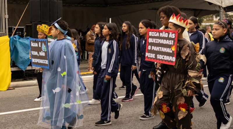 Integrantes e espectadores celebram Desfile Cívico da Independência do Brasil