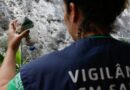 São Paulo Enfrenta Cenário Desafiador com Mais de 58 Mil Casos de Dengue e Ações Intensificadas São Paulo Enfrenta Cenário Desafiador com Mais de 58 Mil Casos de Dengue e Ações Intensificadas