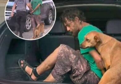 Nem a Lei foi capaz de separar esses dois amigos