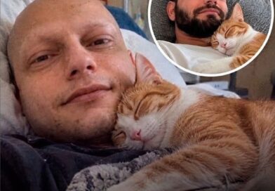 Savas Yesilça e sua gata Shiva, enfrentaram juntos um câncer